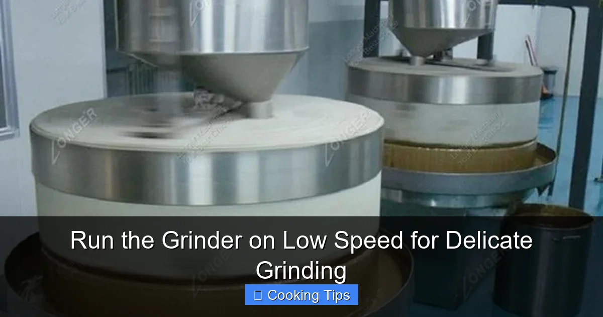 Run the Grinder on Low Speed for Delicate Grinding