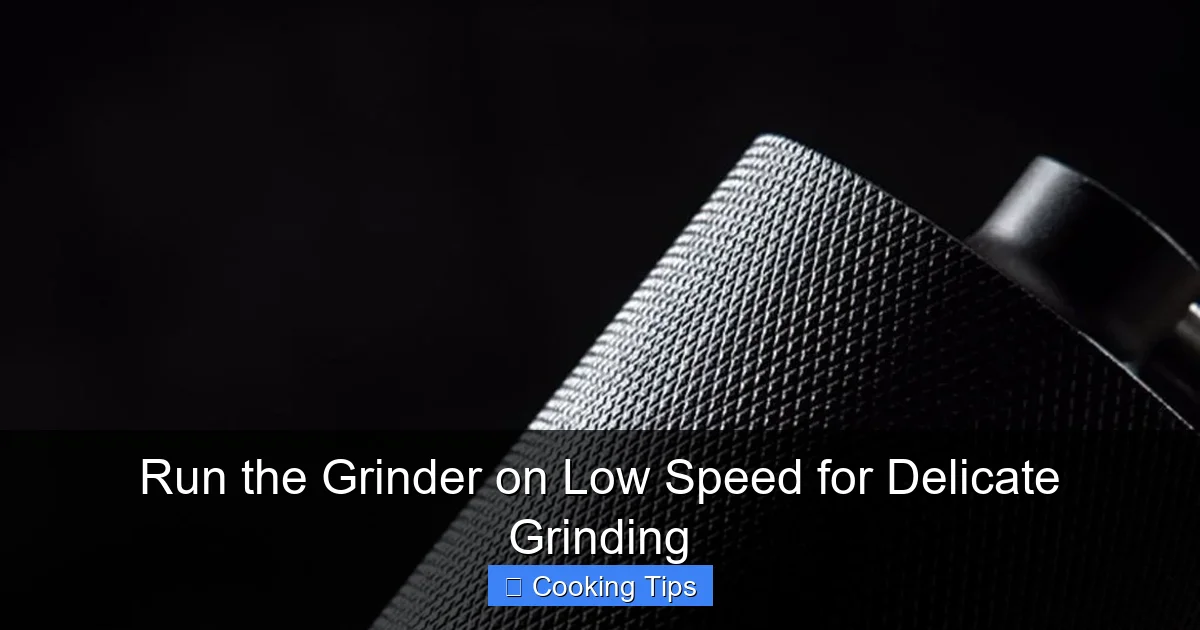 Run the Grinder on Low Speed for Delicate Grinding