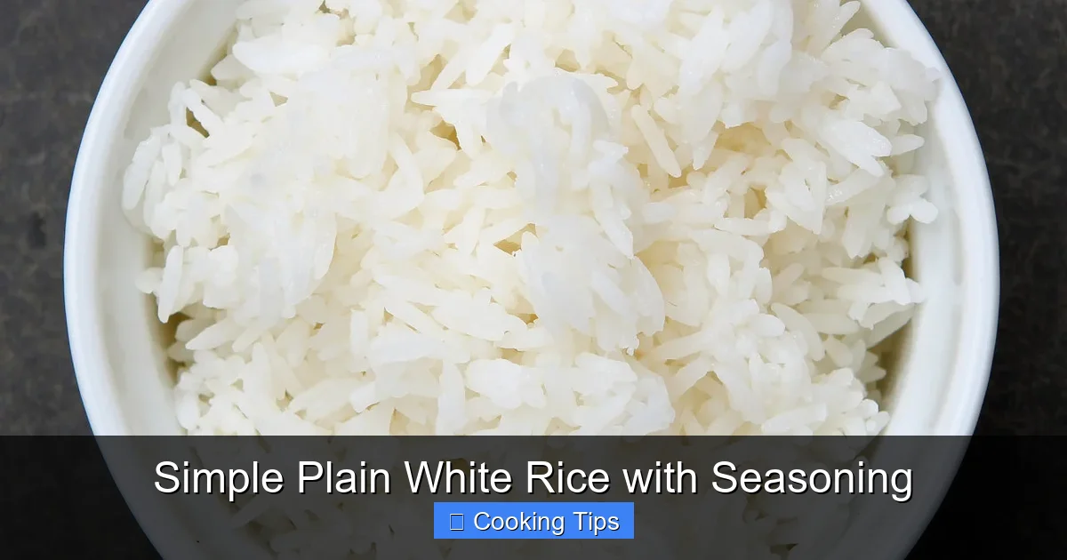 Simple Plain White Rice with Seasoning