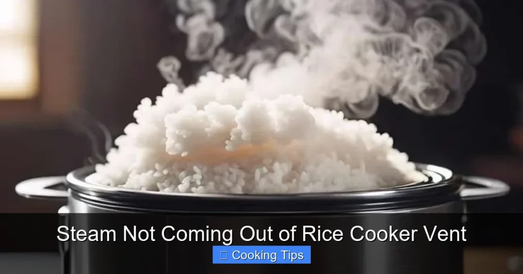 Steam Not Coming Out of Rice Cooker Vent