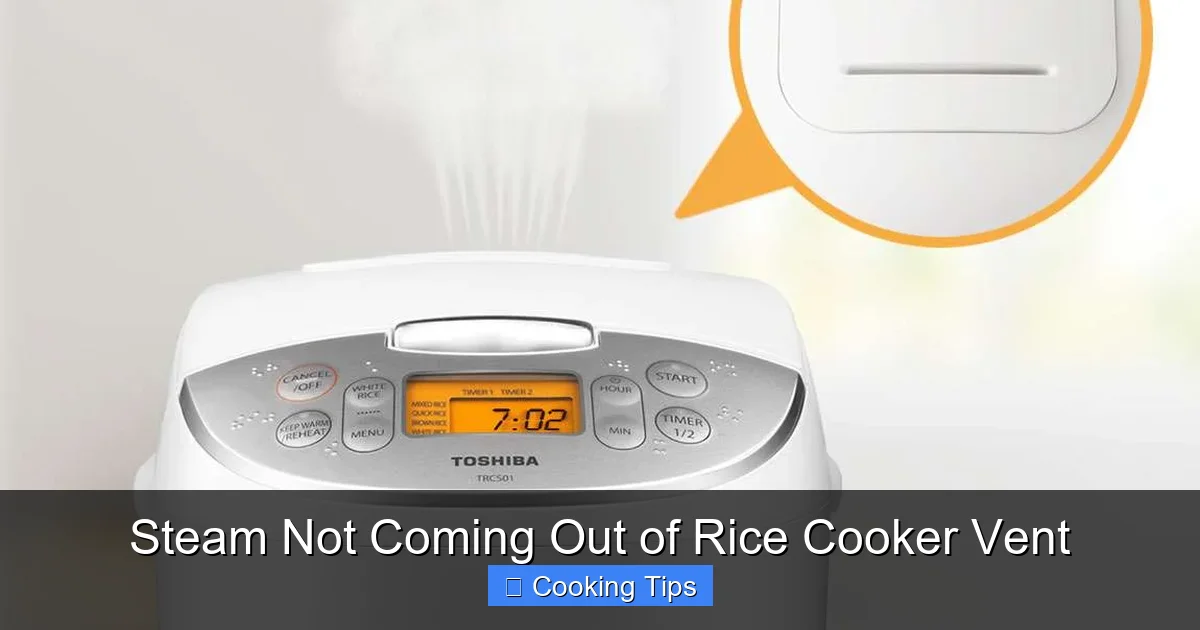 Steam Not Coming Out of Rice Cooker Vent