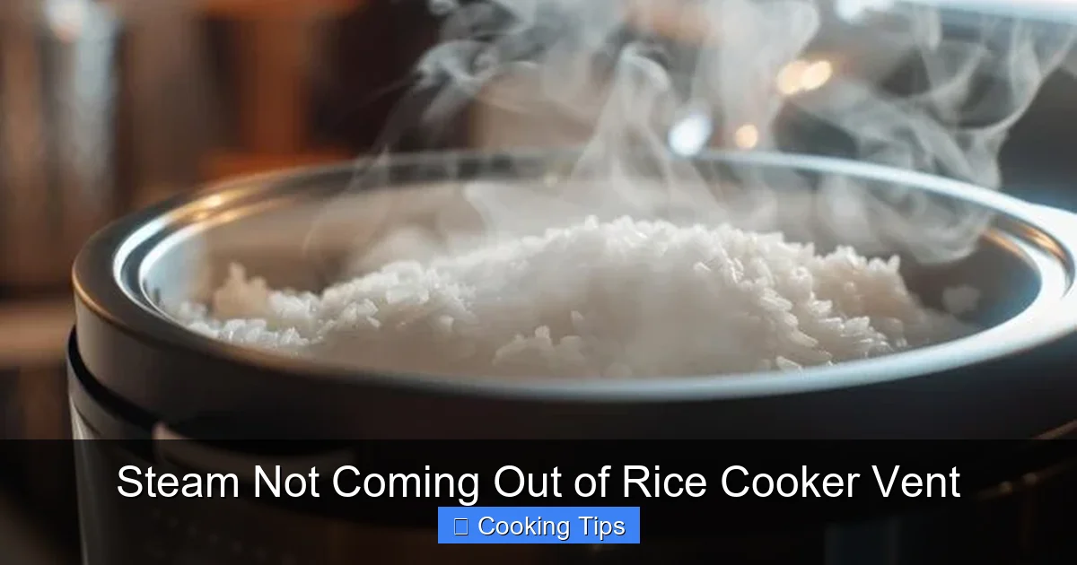 Steam Not Coming Out of Rice Cooker Vent