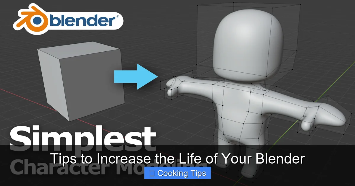 Tips to Increase the Life of Your Blender