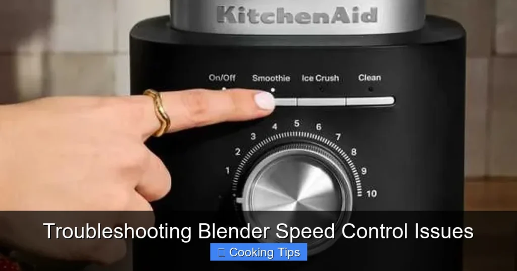 Troubleshooting Blender Speed Control Issues