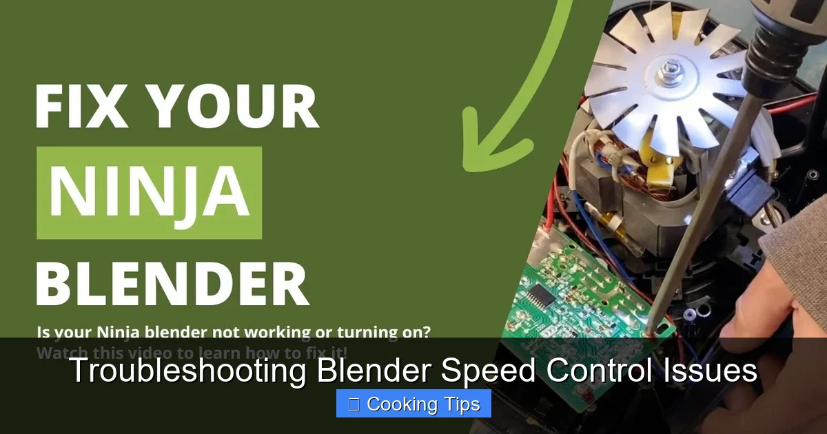 Troubleshooting Blender Speed Control Issues