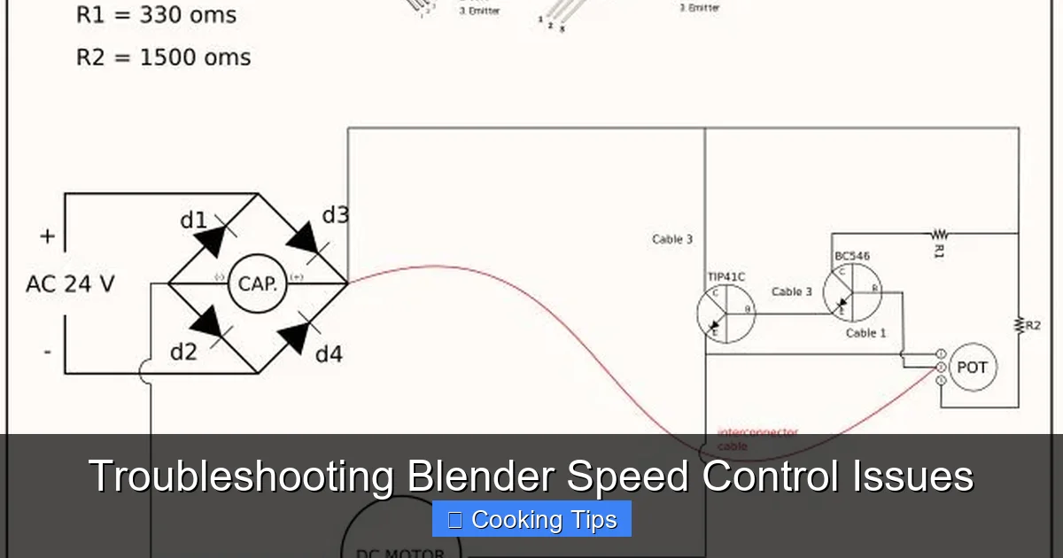 Troubleshooting Blender Speed Control Issues