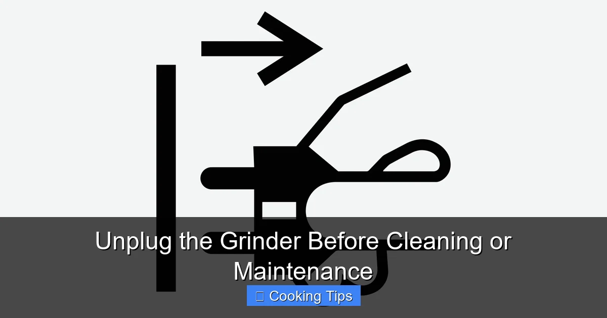 Unplug the Grinder Before Cleaning or Maintenance