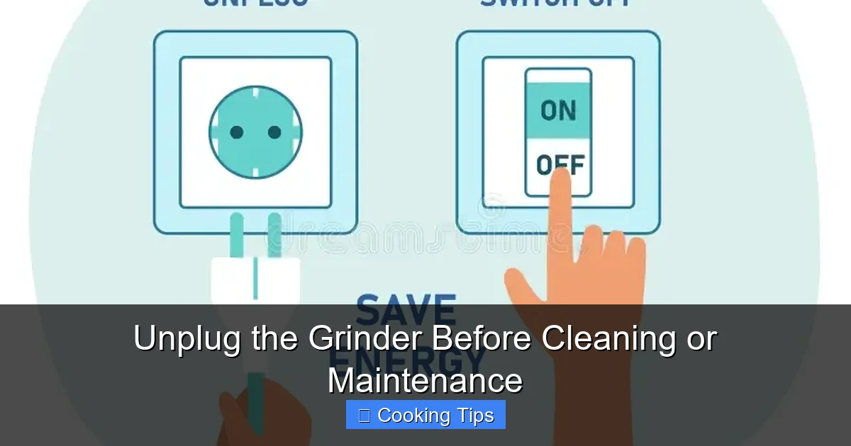 Unplug the Grinder Before Cleaning or Maintenance