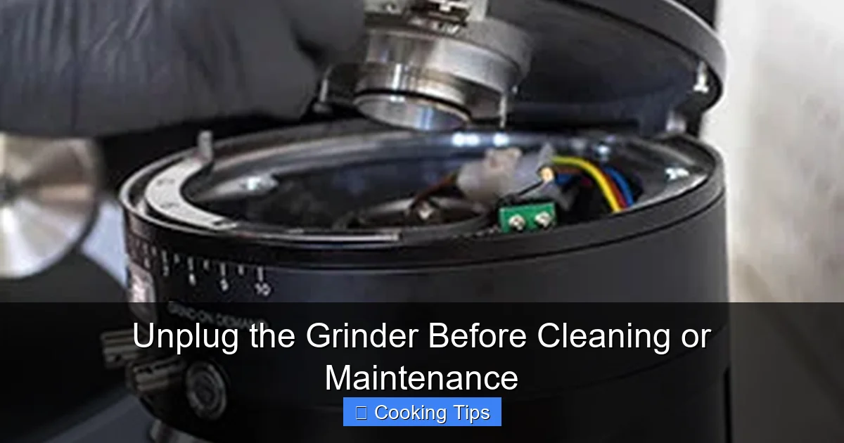 Unplug the Grinder Before Cleaning or Maintenance