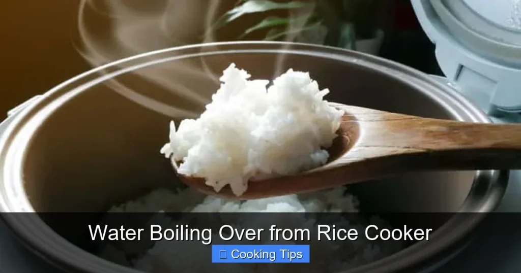 Water Boiling Over from Rice Cooker