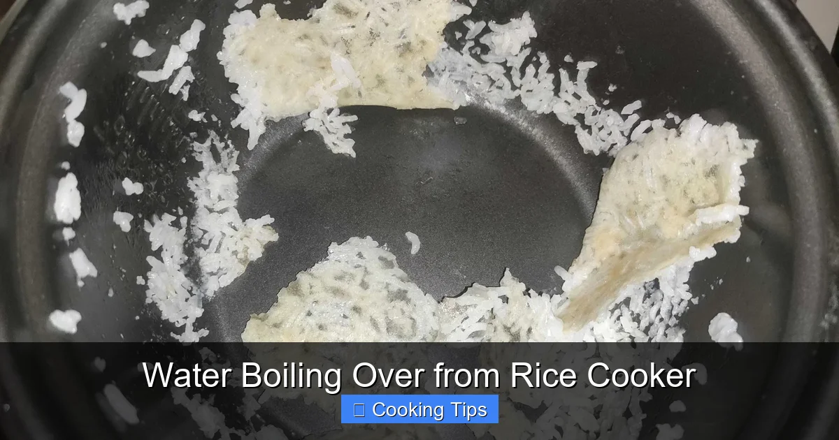 Water Boiling Over from Rice Cooker