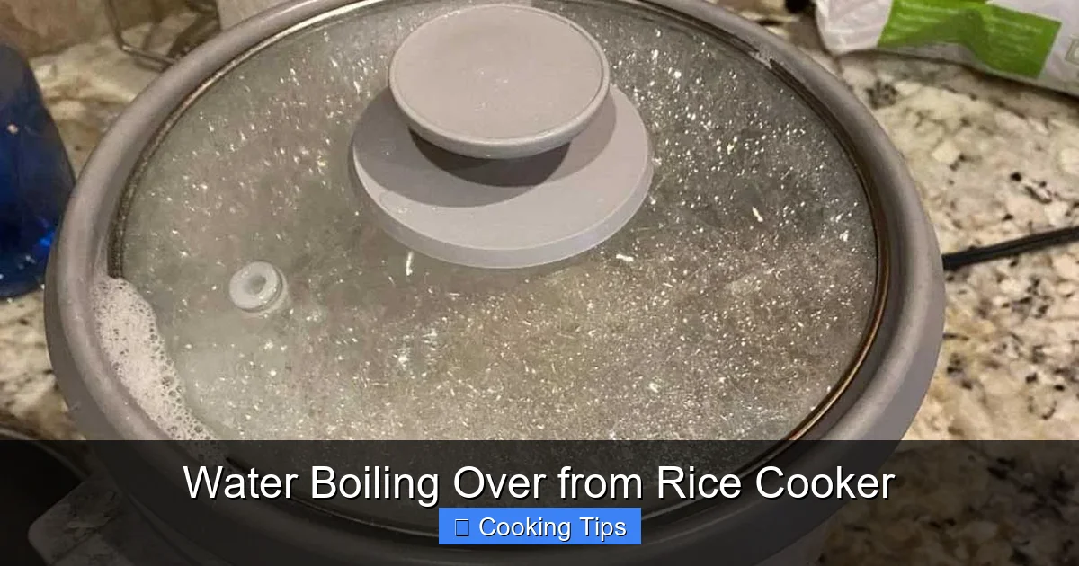 Water Boiling Over from Rice Cooker