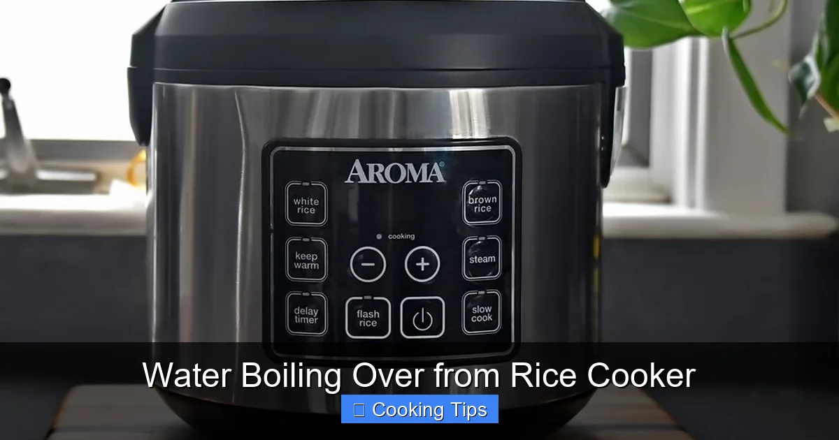 Water Boiling Over from Rice Cooker