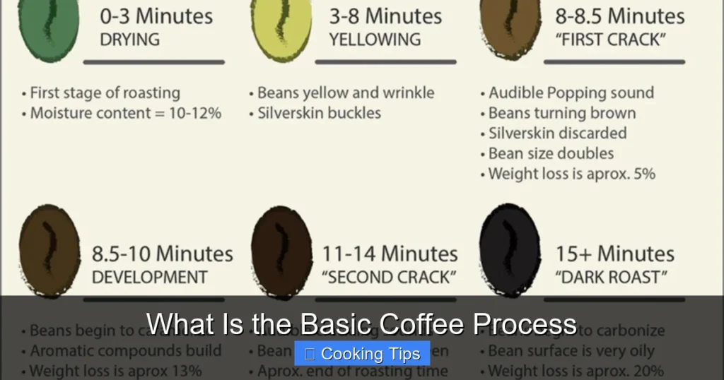 What Is the Basic Coffee Process What Is the Basic Coffee Process