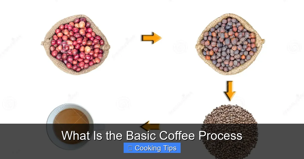 What Is the Basic Coffee Process