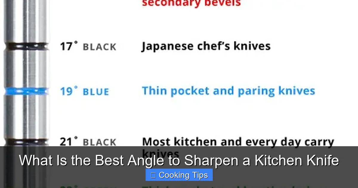 What Is the Best Angle to Sharpen a Kitchen Knife