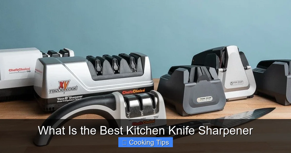 What Is the Best Kitchen Knife Sharpener