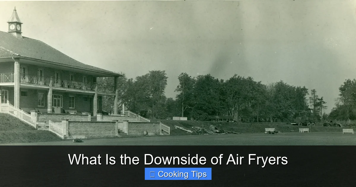 What Is the Downside of Air Fryers