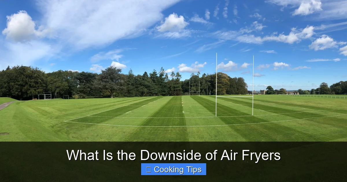 What Is the Downside of Air Fryers