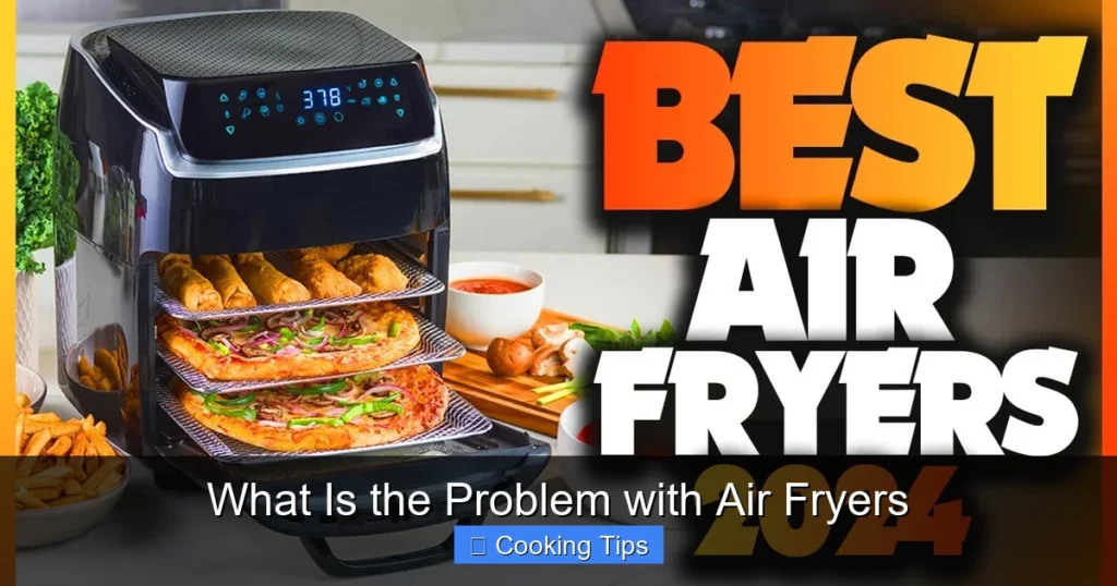 What Is the Problem with Air Fryers