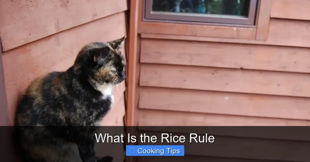 What Is the Rice Rule