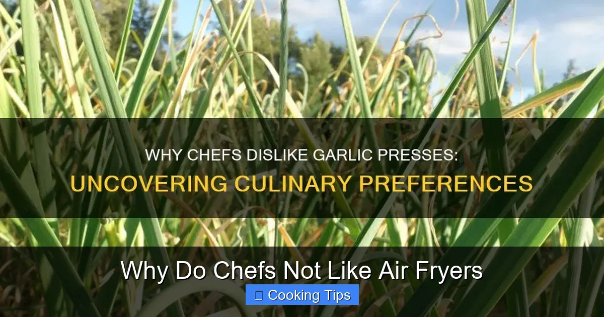 Why Do Chefs Not Like Air Fryers