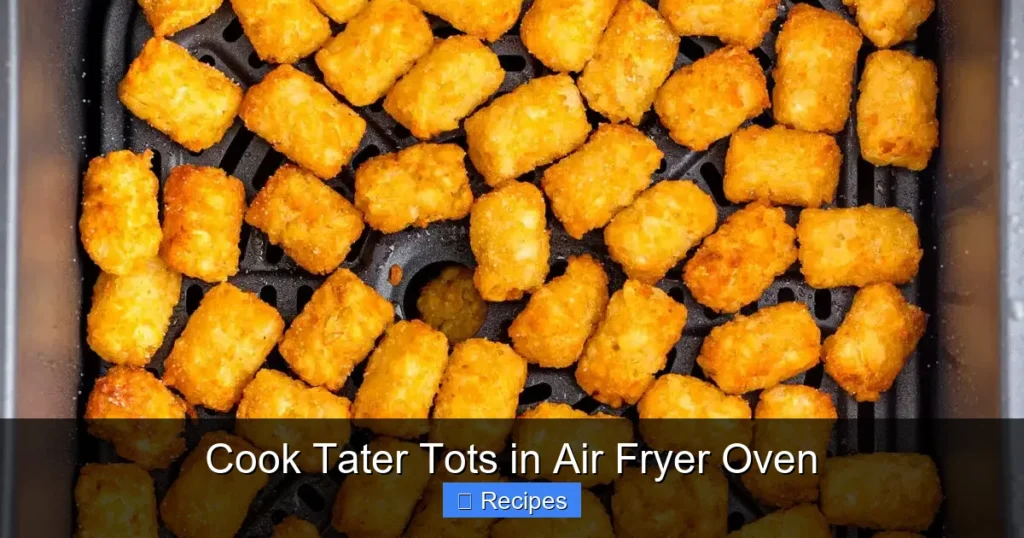 Cook Tater Tots in Air Fryer Oven Cook Tater Tots in Air Fryer Oven