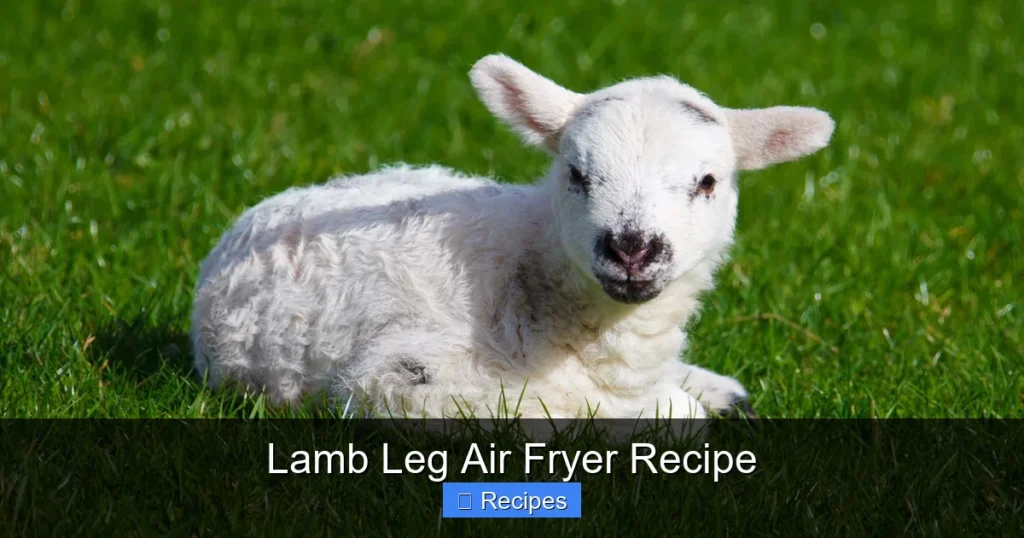 Lamb Leg Air Fryer Recipe