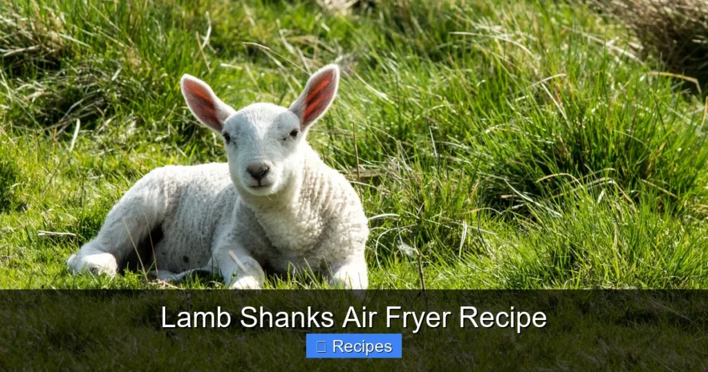 Lamb Shanks Air Fryer Recipe