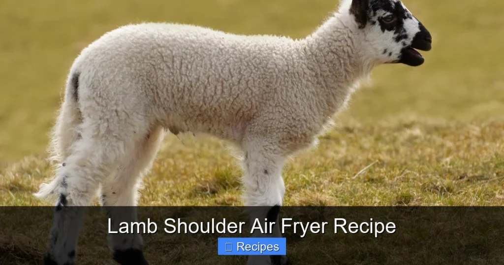 Lamb Shoulder Air Fryer Recipe