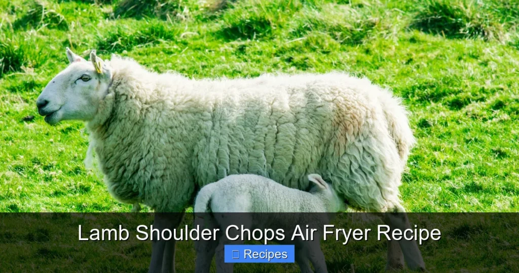 Lamb Shoulder Chops Air Fryer Recipe