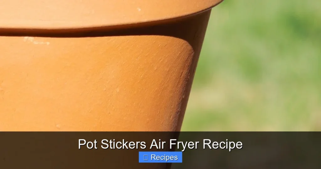 Pot Stickers Air Fryer Recipe Pot Stickers Air Fryer Recipe