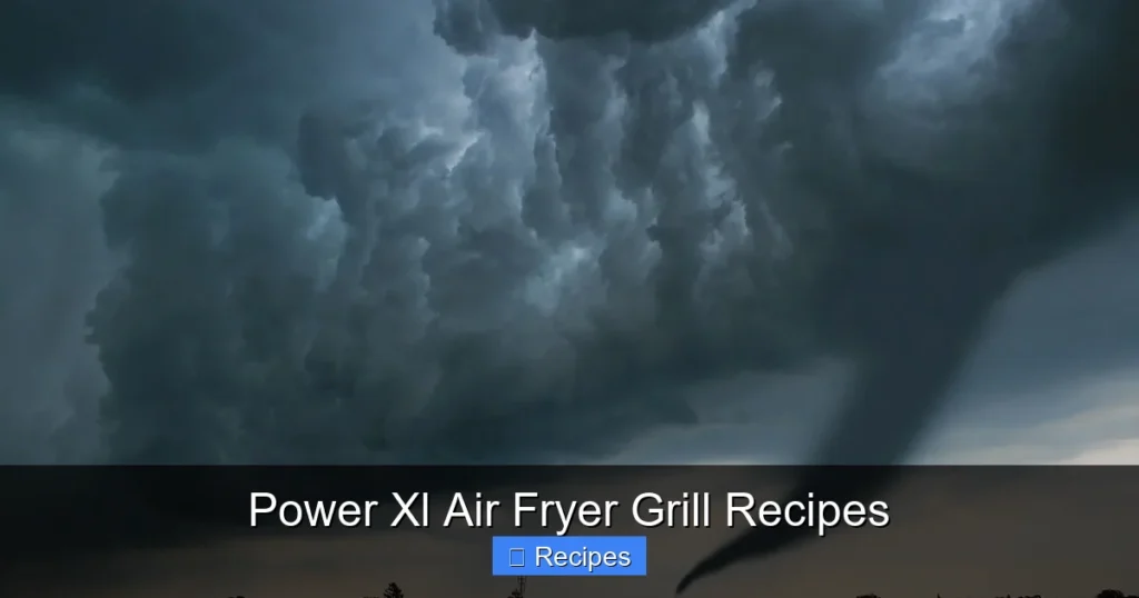 Power Xl Air Fryer Grill Recipes