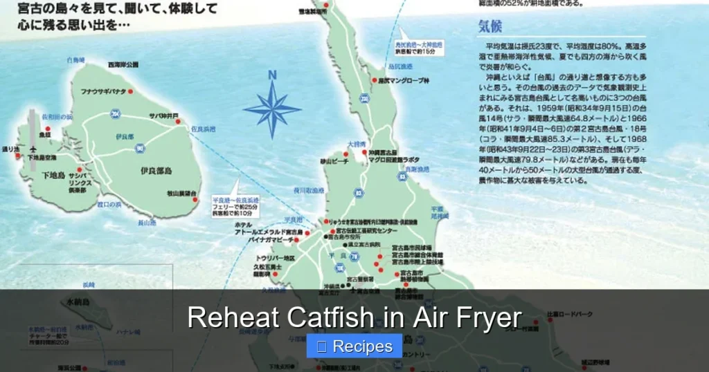 Reheat Catfish in Air Fryer