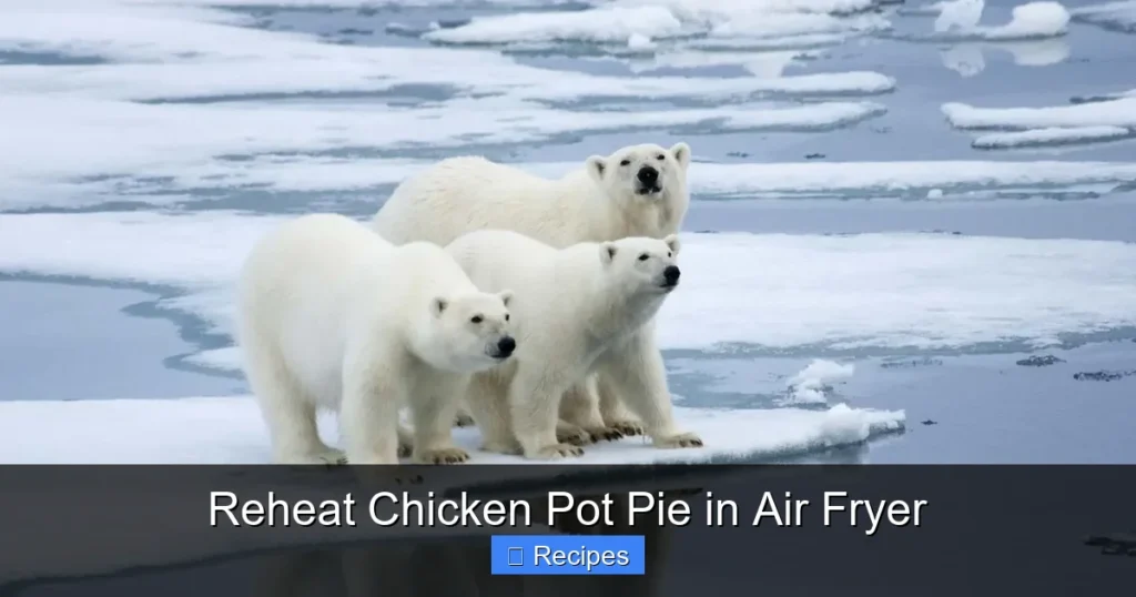 Reheat Chicken Pot Pie in Air Fryer