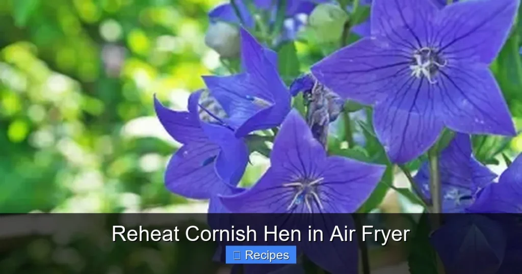Reheat Cornish Hen in Air Fryer Reheat Cornish Hen in Air Fryer