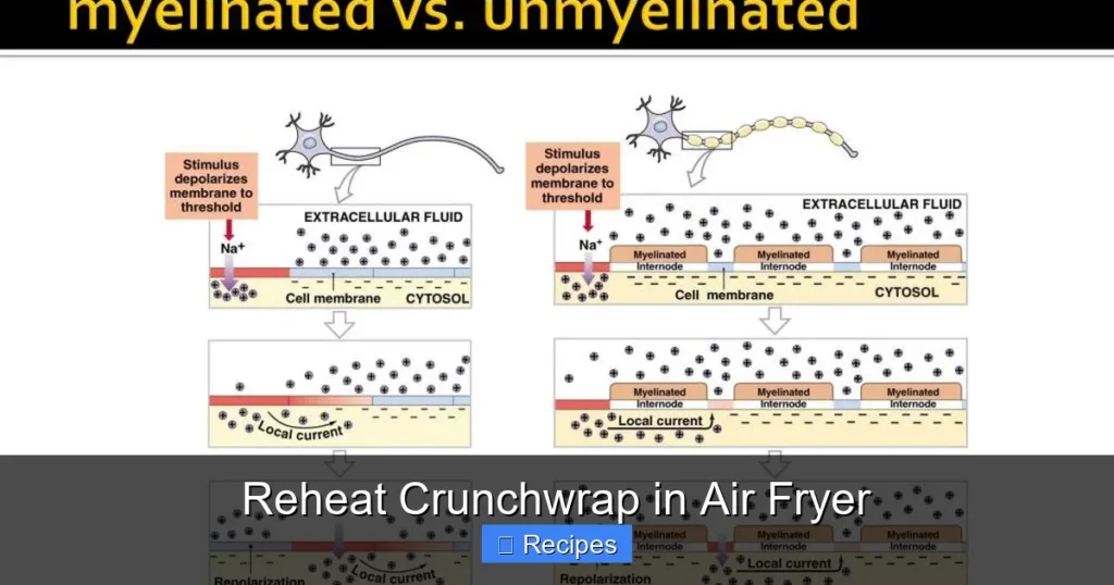 Reheat Crunchwrap in Air Fryer