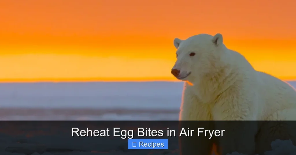Reheat Egg Bites in Air Fryer