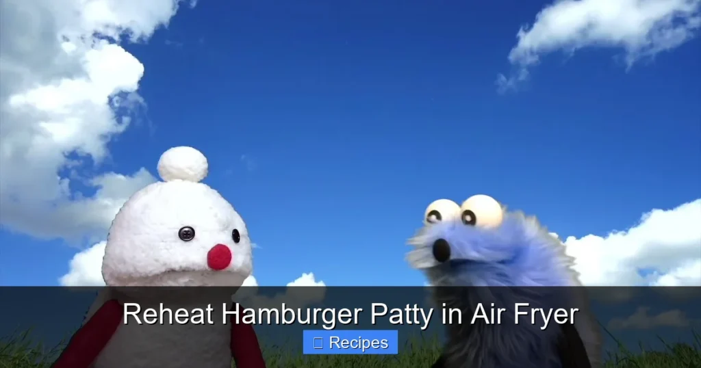 Reheat Hamburger Patty in Air Fryer