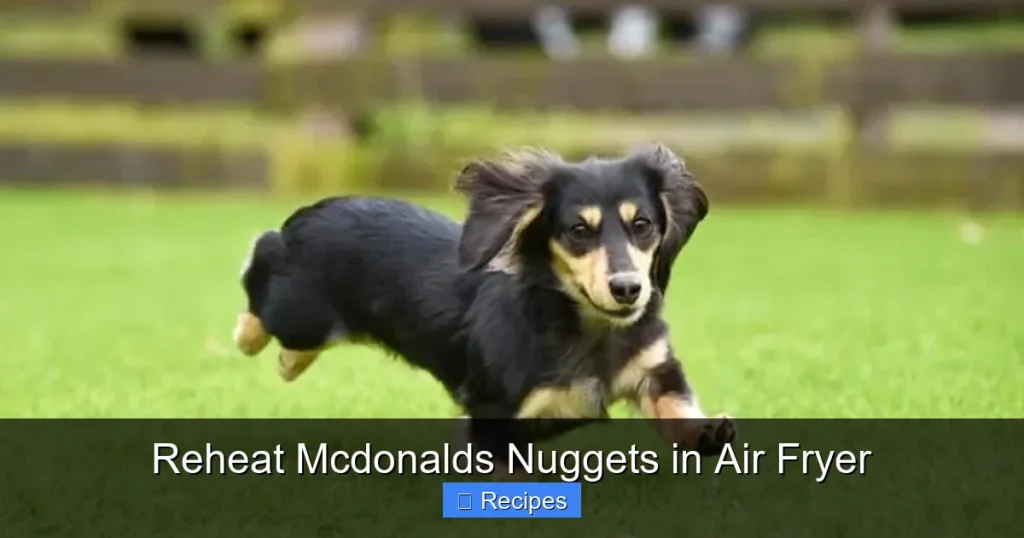 Reheat Mcdonalds Nuggets in Air Fryer