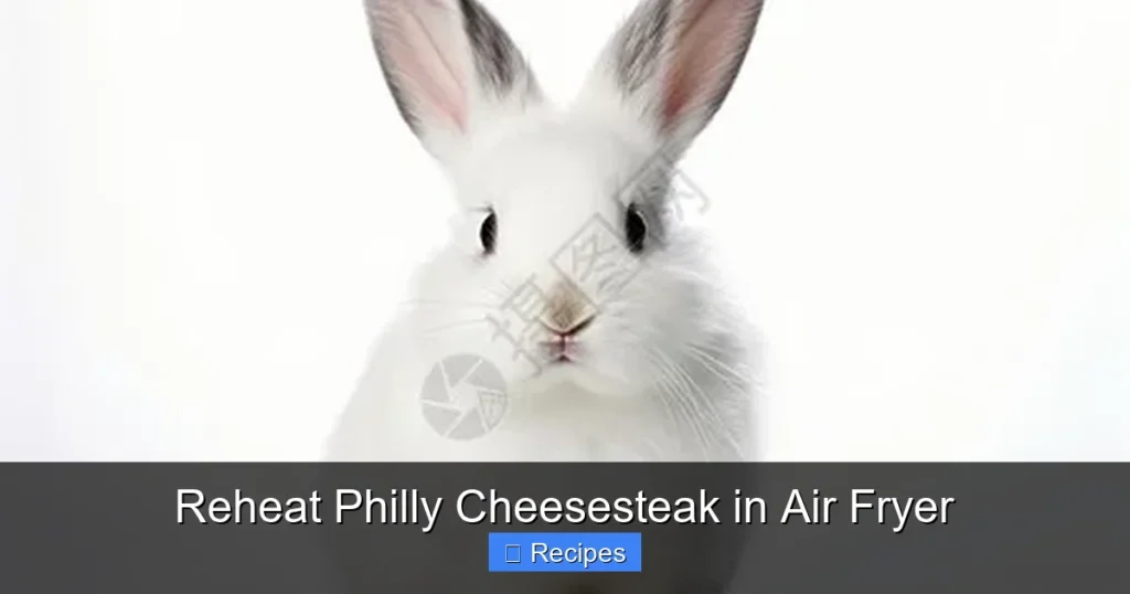 Reheat Philly Cheesesteak in Air Fryer