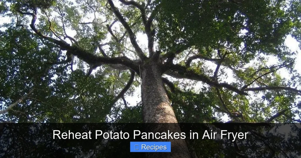 Reheat Potato Pancakes in Air Fryer