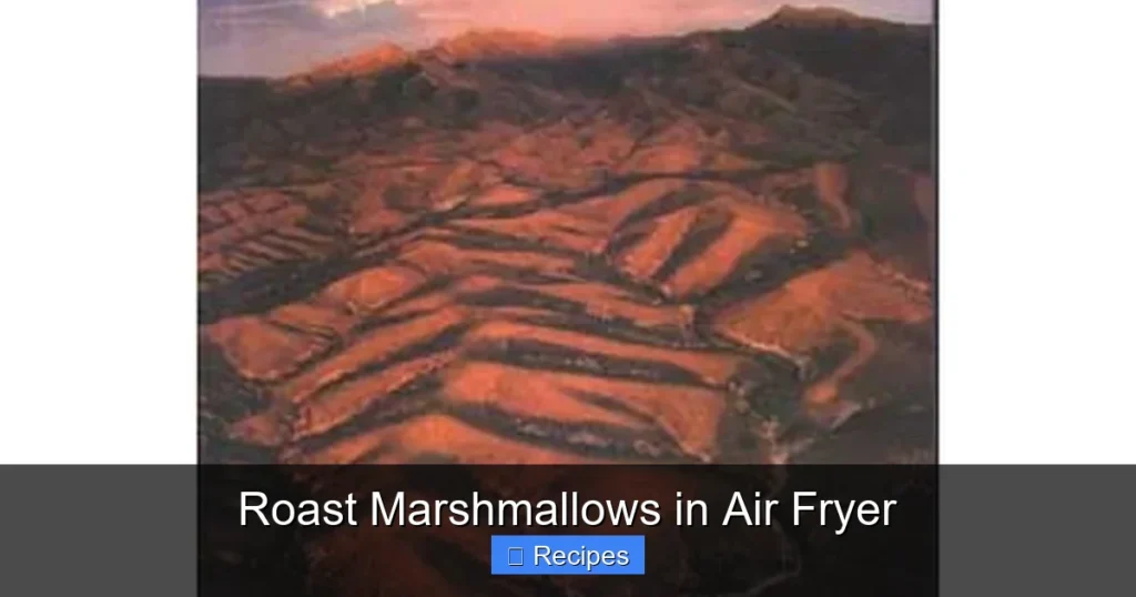 Roast Marshmallows in Air Fryer