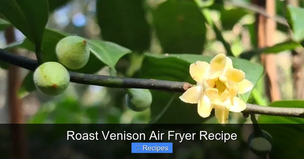 Roast Venison Air Fryer Recipe