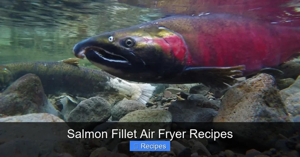 Salmon Fillet Air Fryer Recipes