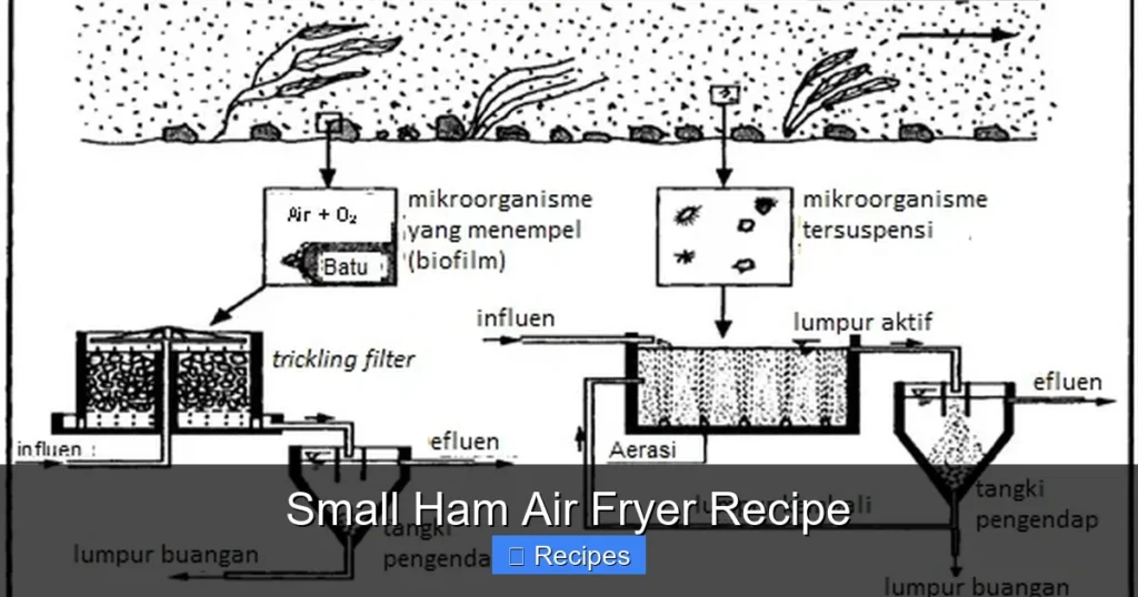 Small Ham Air Fryer Recipe