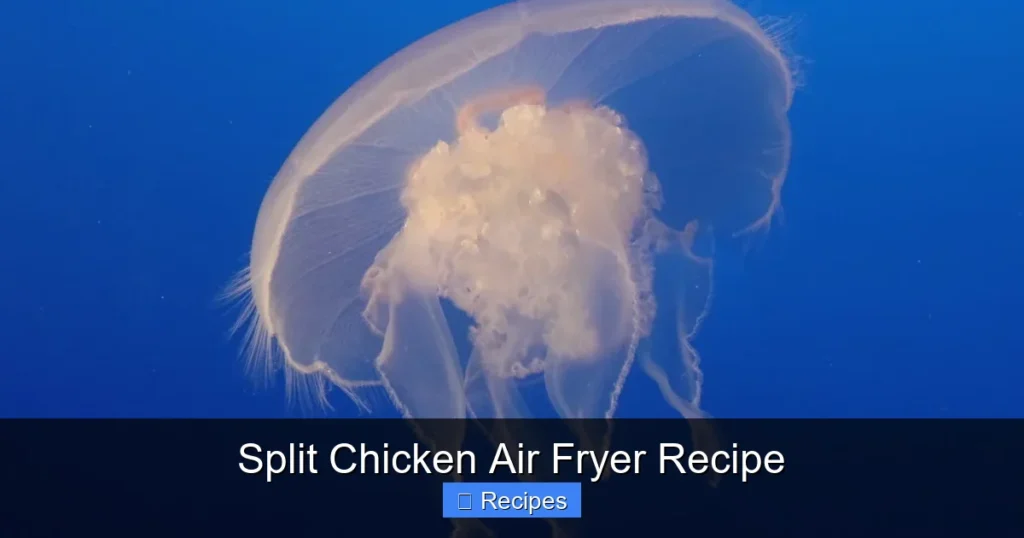 Split Chicken Air Fryer Recipe