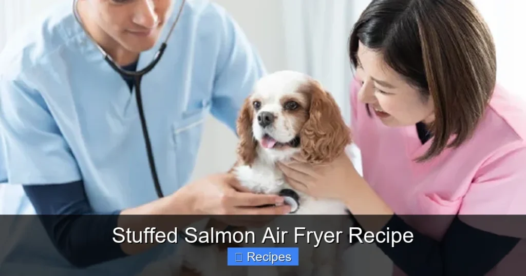 Stuffed Salmon Air Fryer Recipe