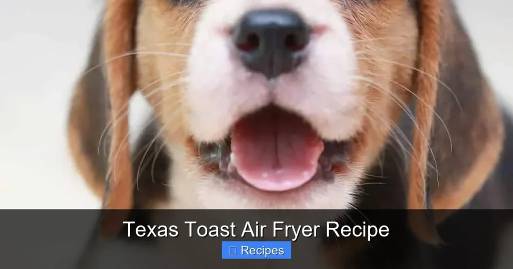 Texas Toast Air Fryer Recipe