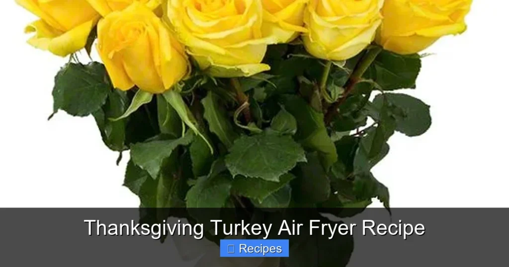 Thanksgiving Turkey Air Fryer Recipe